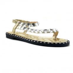 Wild Diva-TIA-15 18 Wild Diva-TIA-15