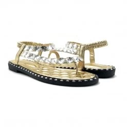 Wild Diva-TIA-15 21 Wild Diva-TIA-15