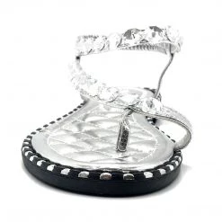 Wild Diva-TIA-15 23 Wild Diva-TIA-15